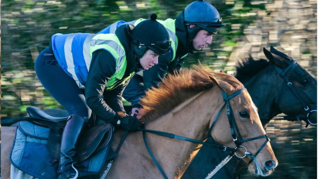 Picture of two horses in a training race.