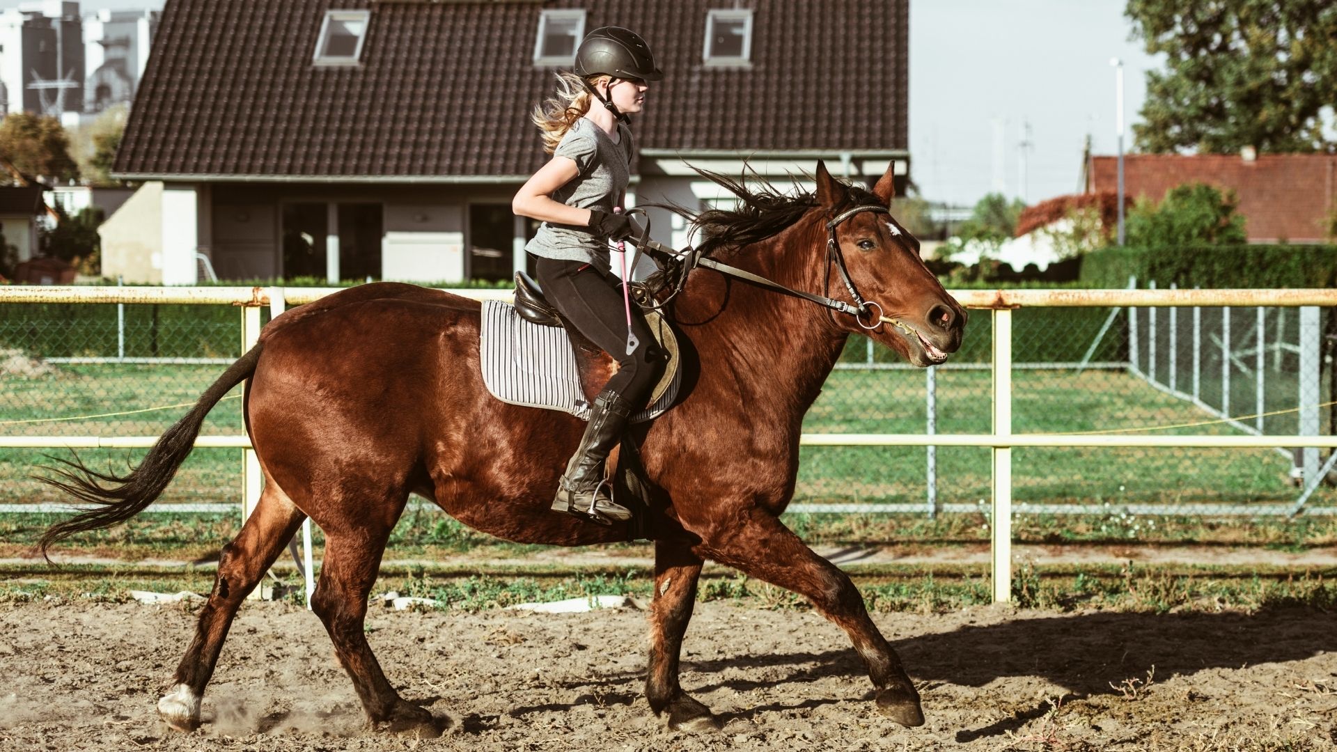 The Best Horse Riding Clothes: English And Western