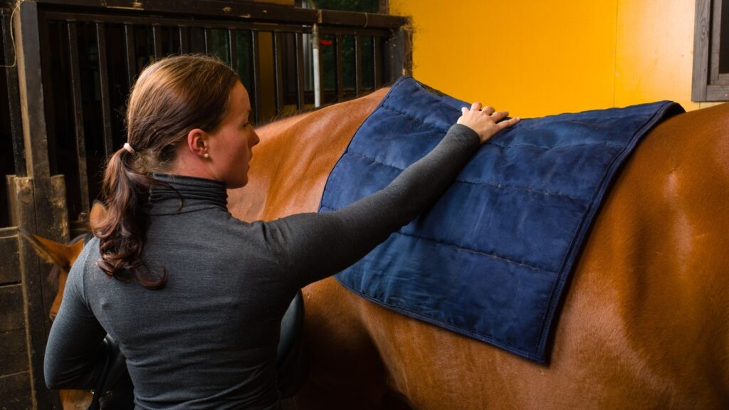 Picture of a woman putting a saddle pad on a horse.