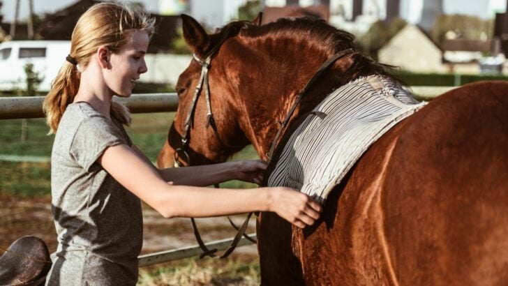 Picture of a girl putting a saddle pad on a horse.