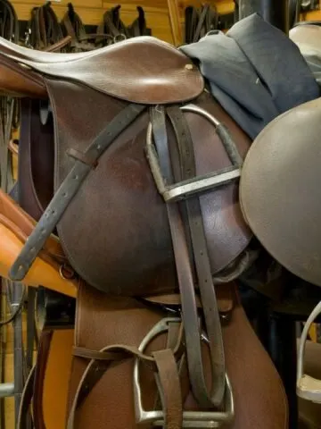 Picture of horse tack.