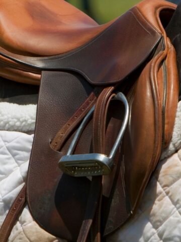 Picture of a saddle and saddle pad.