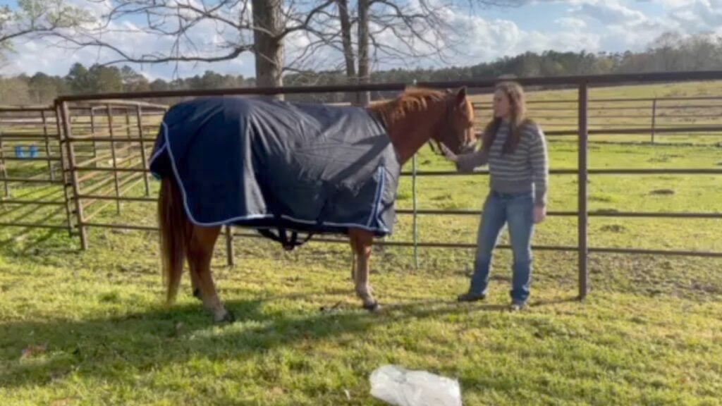 Picture of Kimberly fitting a horse winter blanket on her horse "Duke"