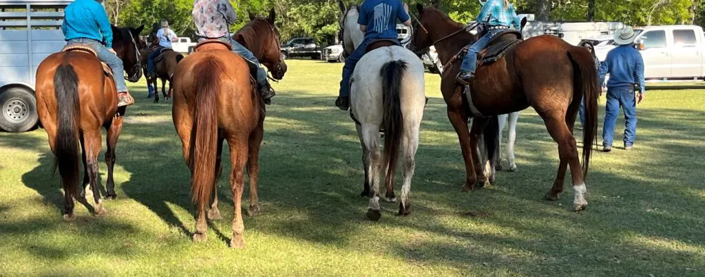 Picture of kids riding male or female horses at a show.