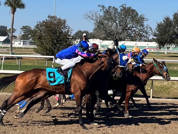 Can You Make Money Owning a Racehorse?