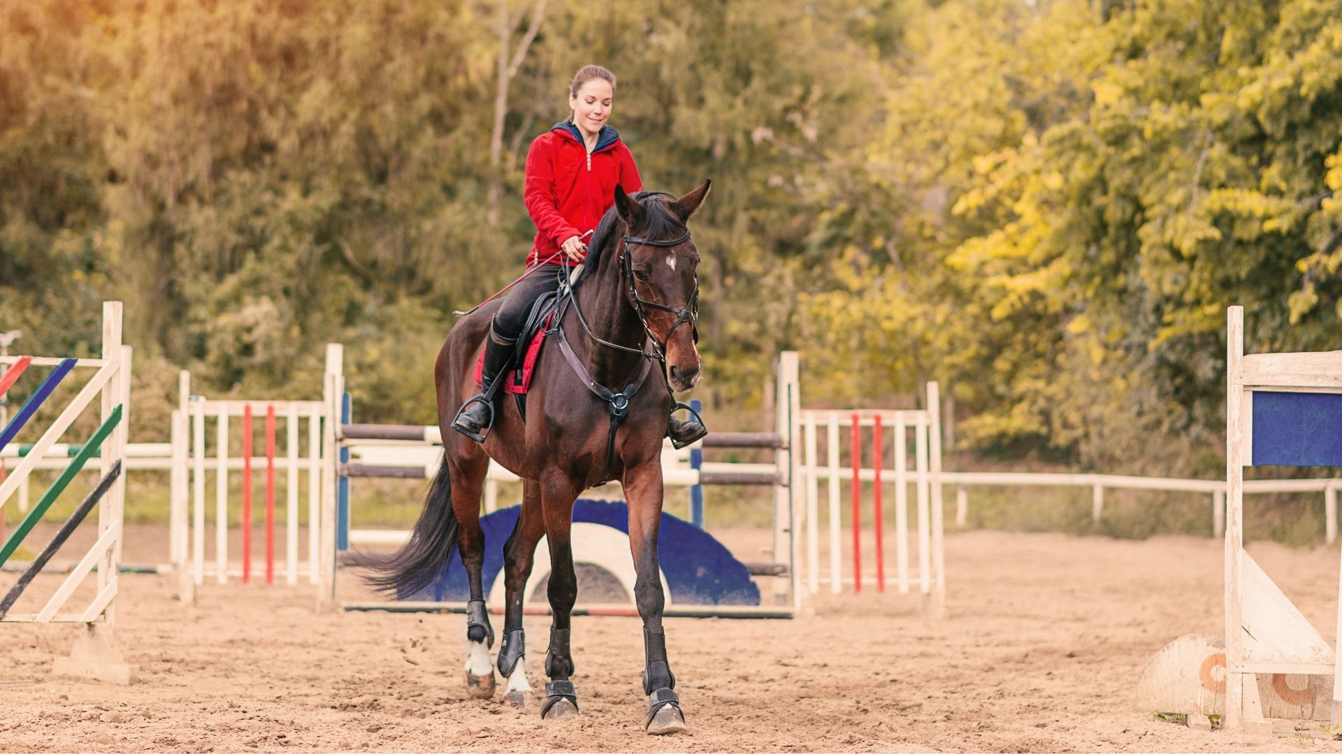 Basic Horse Riding Commands Hand, Voice, And Body Cues