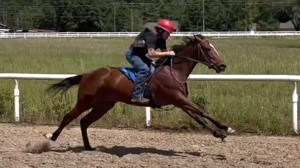 Picture of our two-year-old running with a training jockey on board.