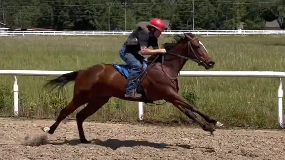 Picture of our two year old racehorse in training.  I intend to make money owning a racehorse. 