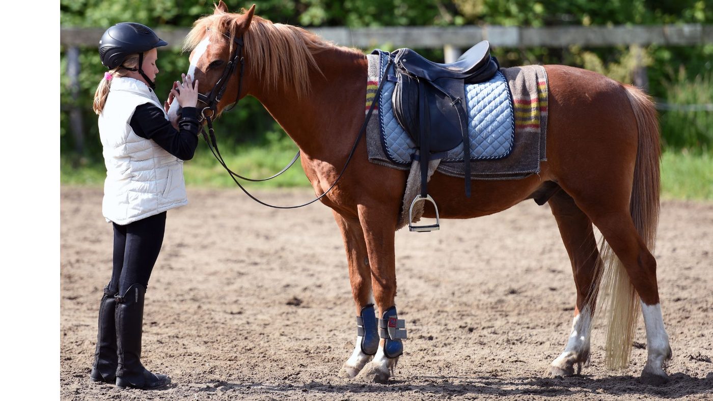 Young rider with a chestnut horse wearing a black saddle. 
