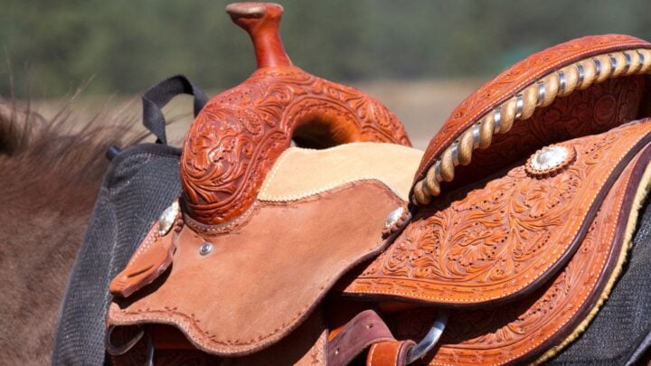 Western Saddles – Most Comfortable and Best All-Round