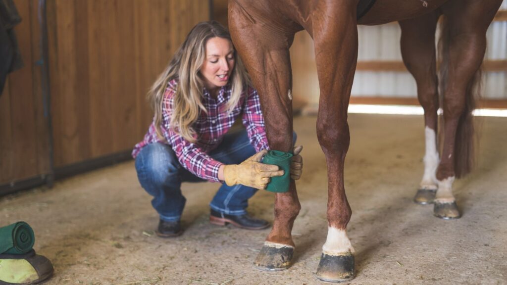 picture of a woman putting polo wraps on her horses' leg.