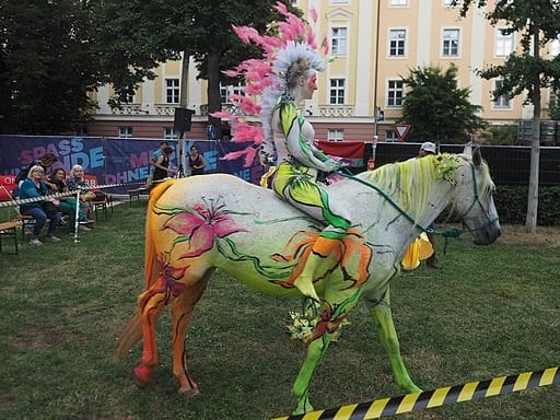 Picture of a horse with body paint.