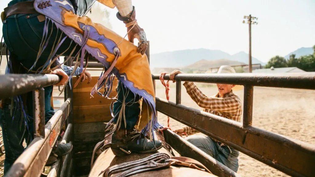 Picture of a cowboy getting on a bull wearing twisted x cowboy boots.