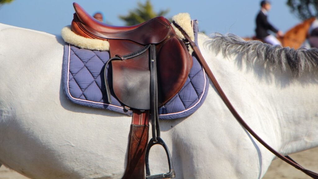 Picture of an English fleece saddle pad.