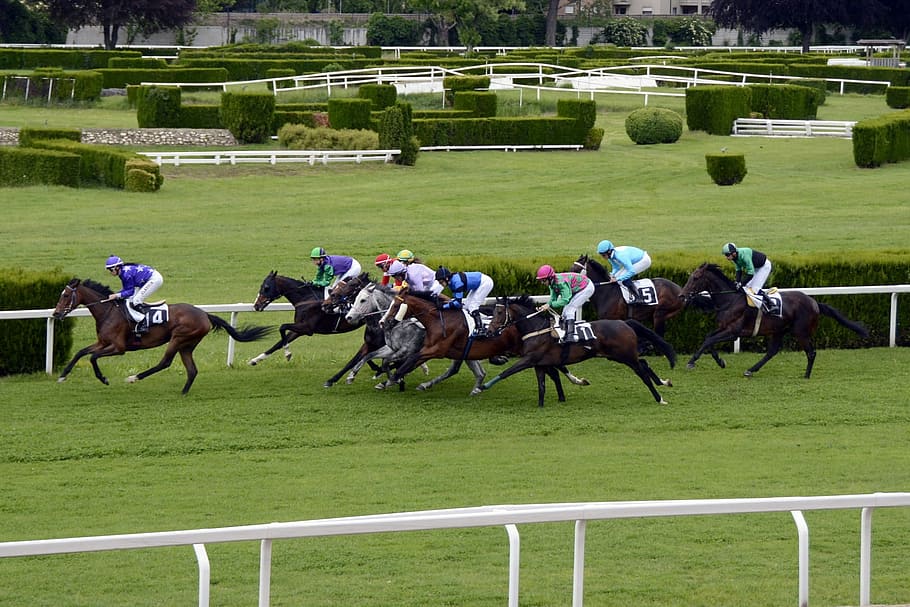 Picture of horses racing at the Grand Nationals