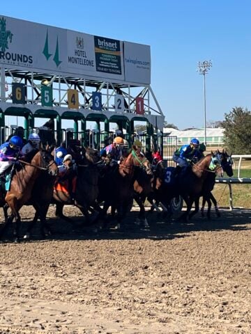 Picture of horse leaving the gates from their post position.