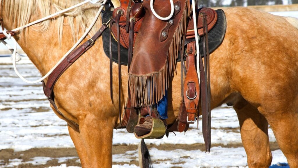 Picture of a person riding a horse wearing chaps.