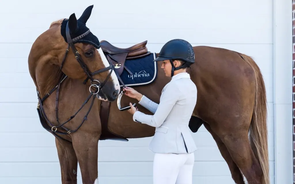 Picture of a gelding horse being saddled for dressage or jumping.