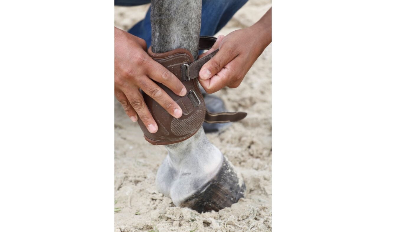leather strap on fetlock boot.