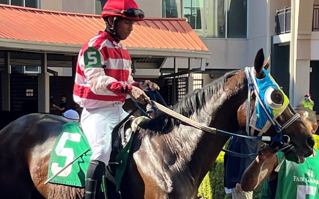Horse racing equipment changes: racehorse wearing blinkers in the paddock at Fair Grounds &mdash; first-time blinkers is a strong handicapping signal in past performances.