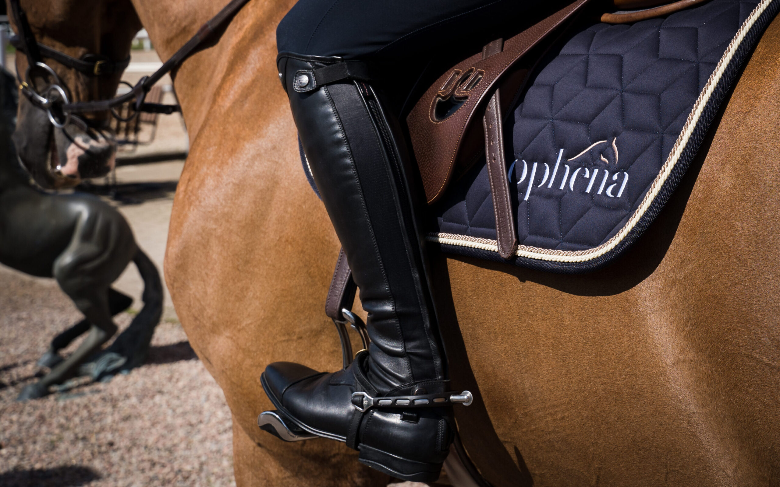 Picture of English horse riding boots.