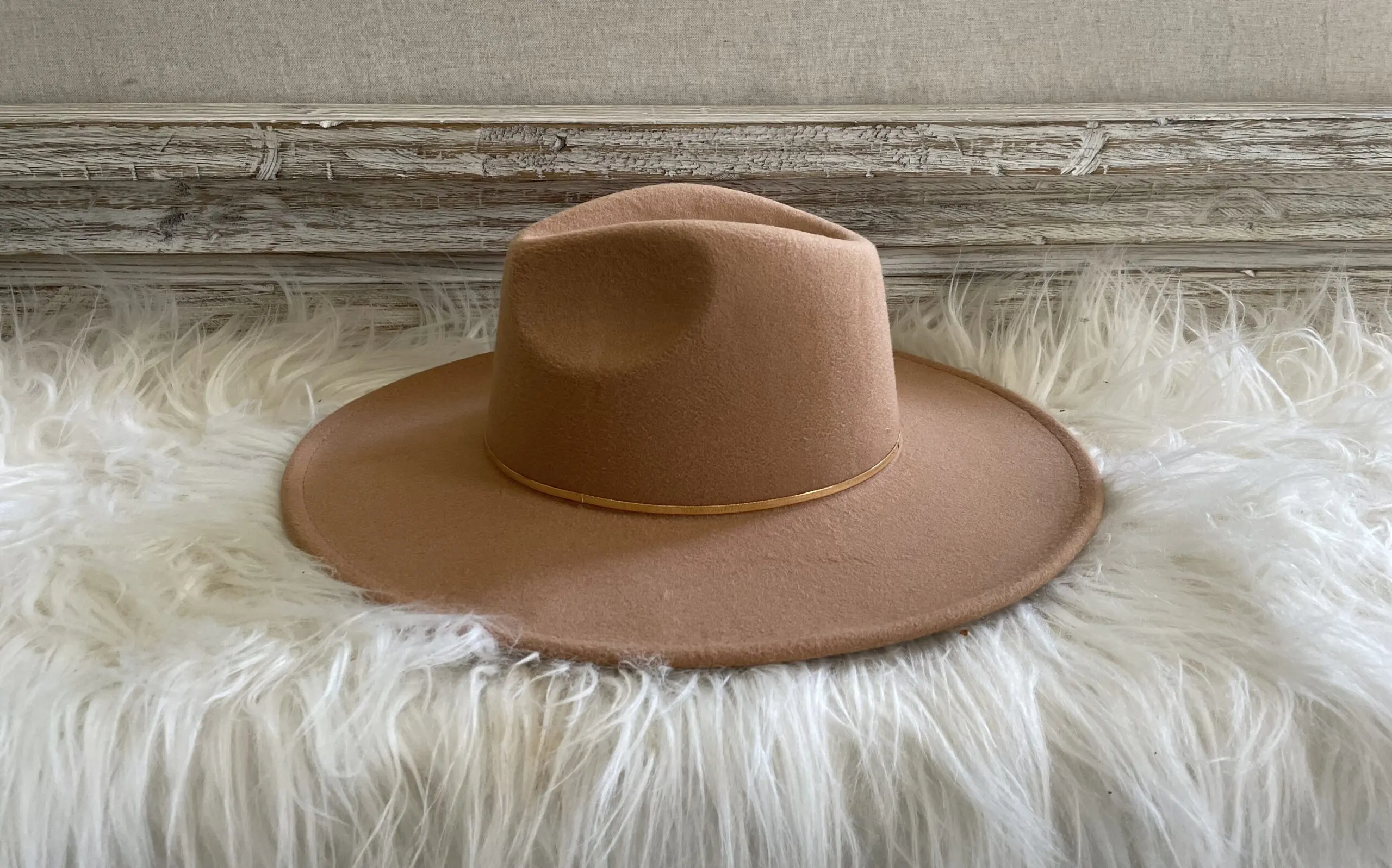 Picture of a felt cowboy hat.