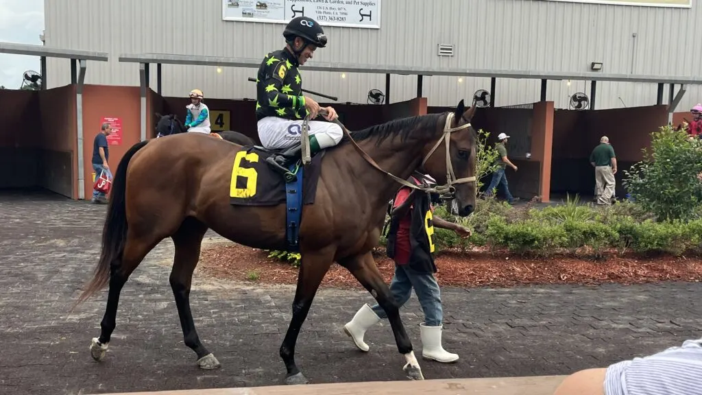 Picture of a jockey with a whip.