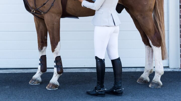 Picture of horse saddle being adjusted for dressage or jumping.