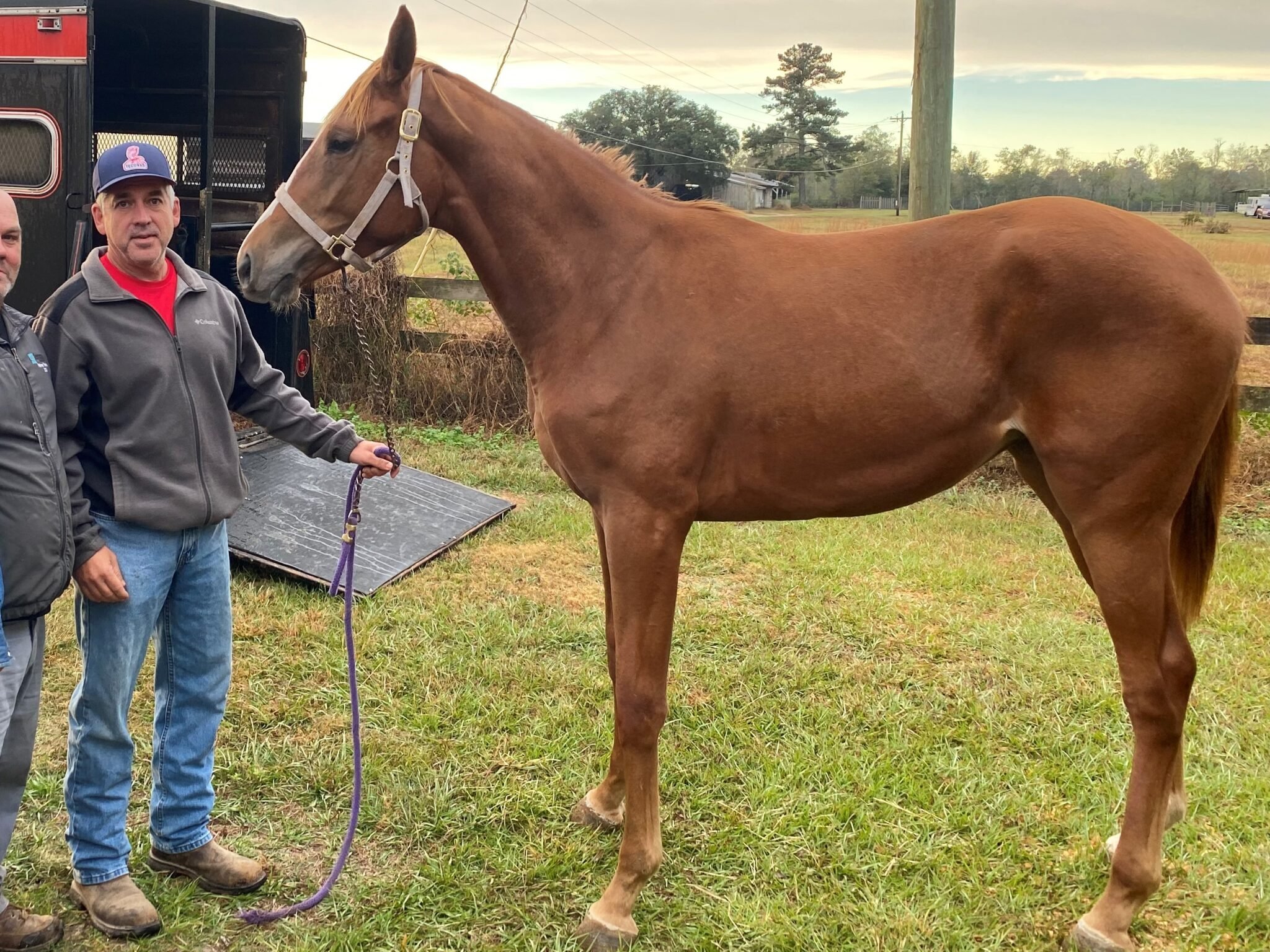The Untold Truth About Female Racehorses - um7xs00