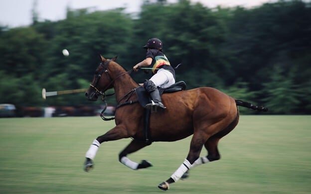 Picture of polo player wearing English style riding boots,