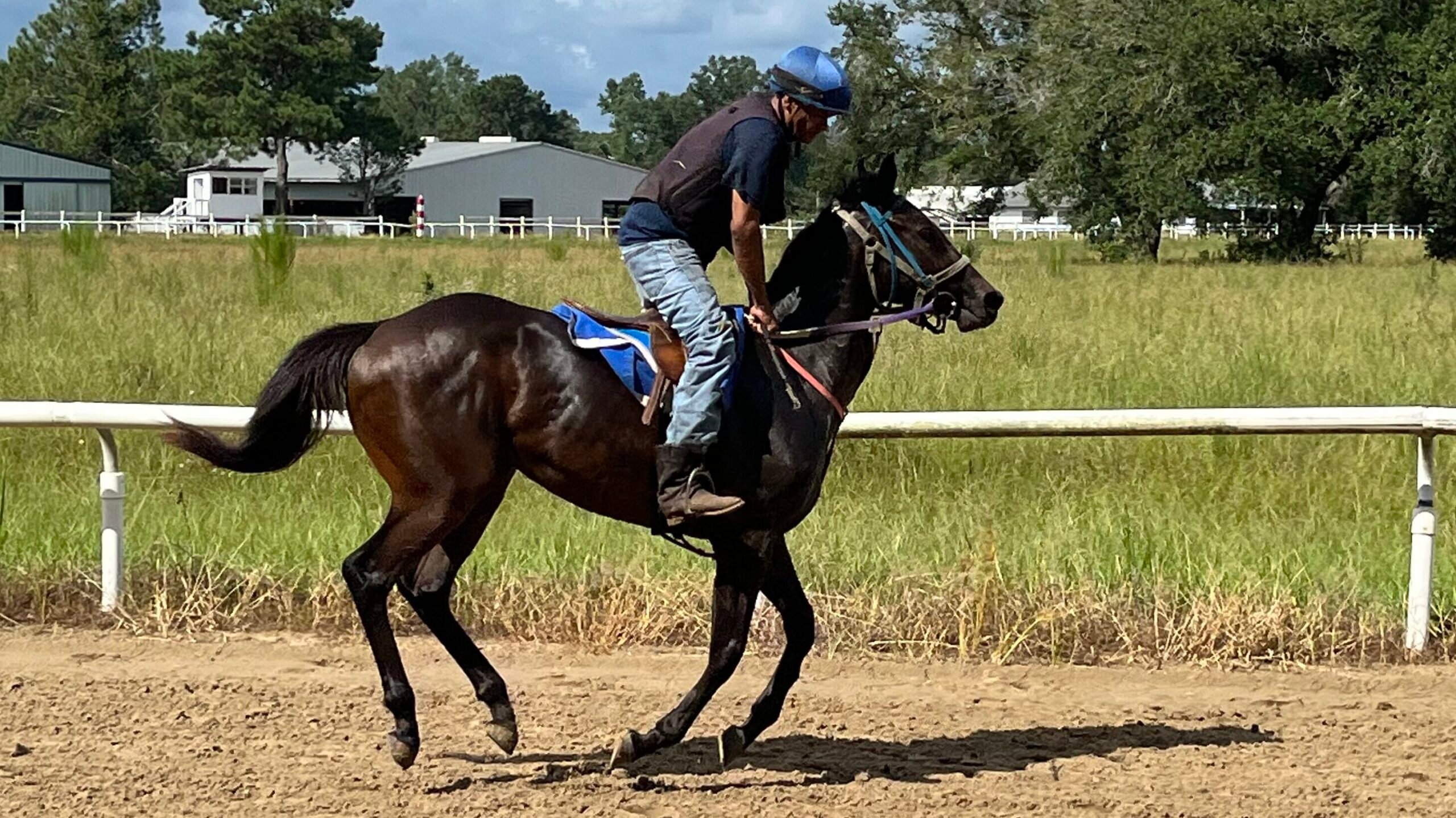 Picture of a training jockey working a horse wearing roper style cowboy boots.