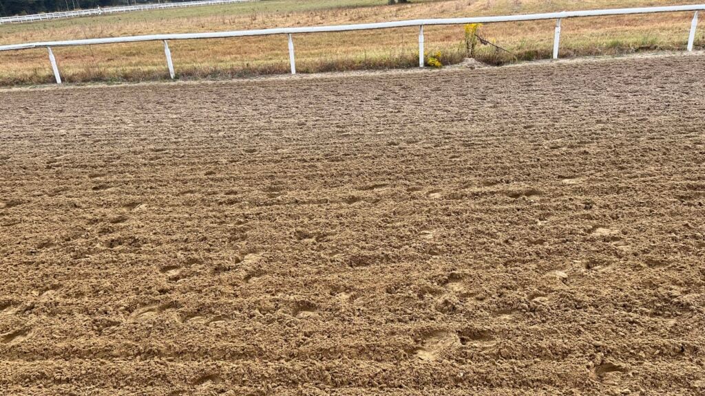 Horse Exercise Programs: Building Soundness & Peak Health Well-maintained dirt track showcasing safe footing for horses.