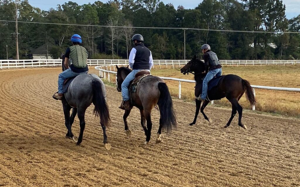 Picture of horses in training.