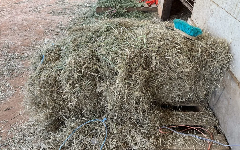 Picture of a bale of grass hay.