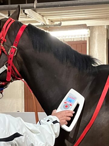 Picture of an identifier scanning a horse chip.