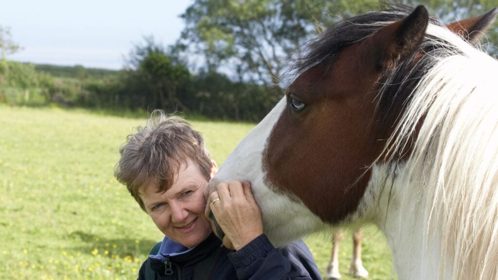The Reasons Americans Don't Eat Horse Meat A close-up of a horse putting it muzzle on a person, illustrating the deep bond between horses and humans.