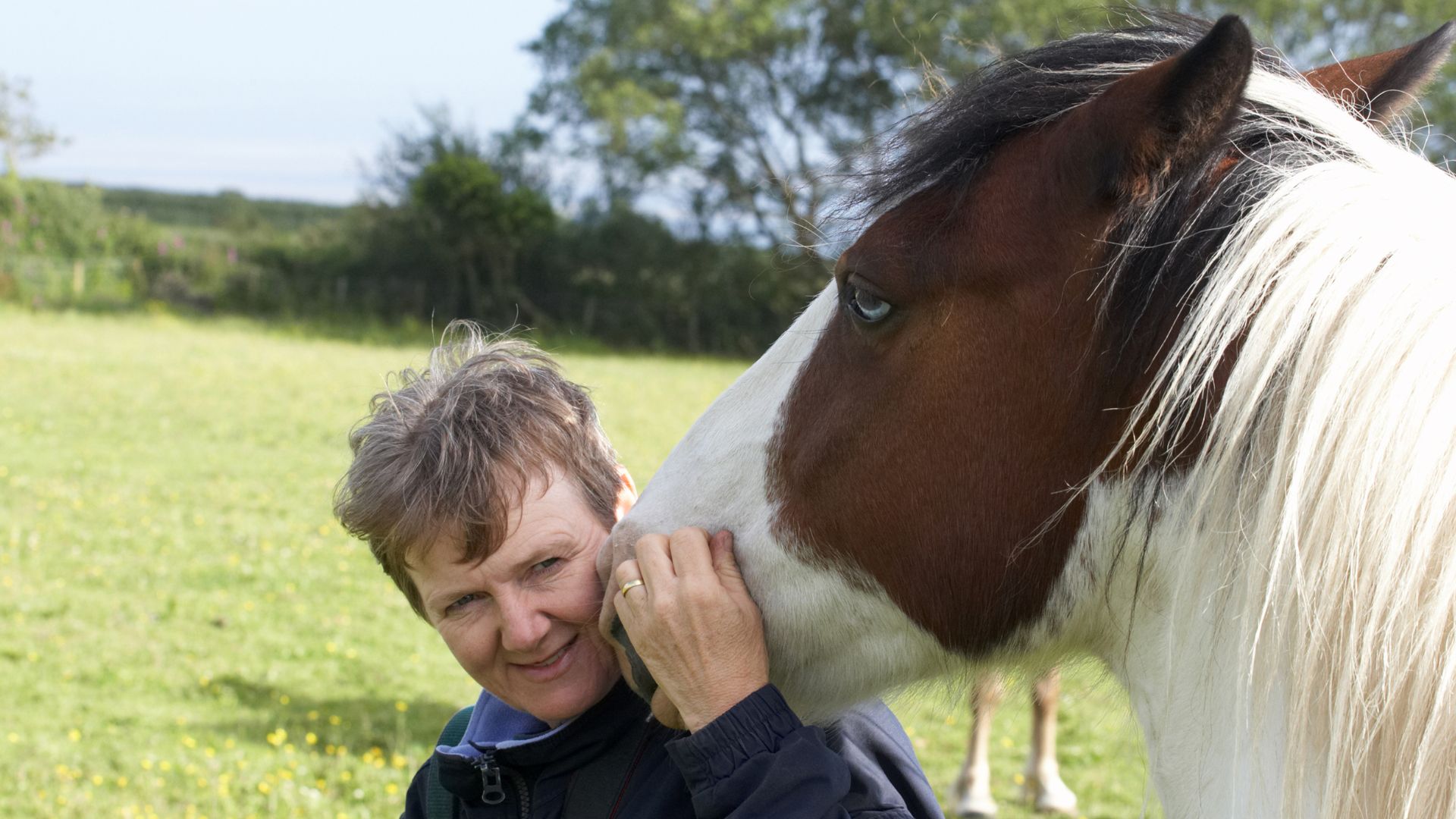 Horses And Affection 5 Surprising Ways They Show Love