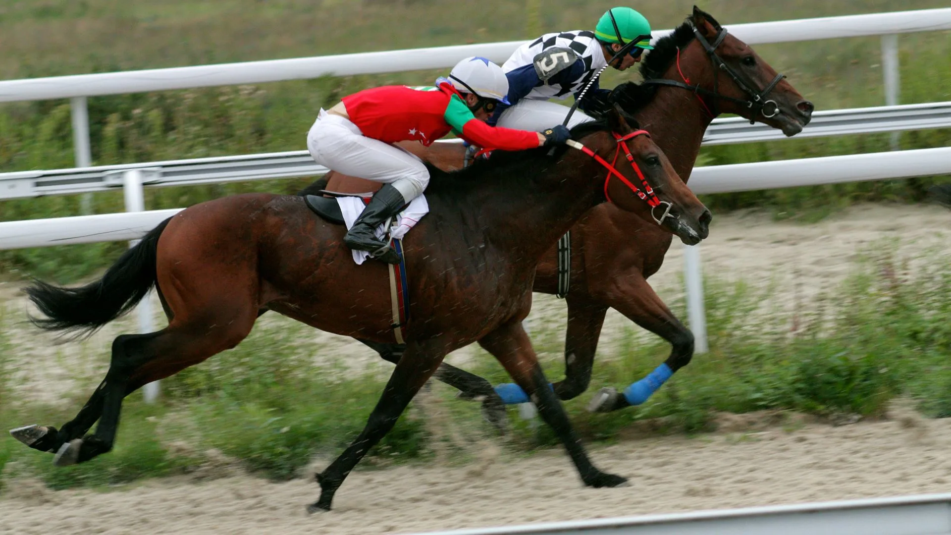 Jockeys riding hard during a race. 