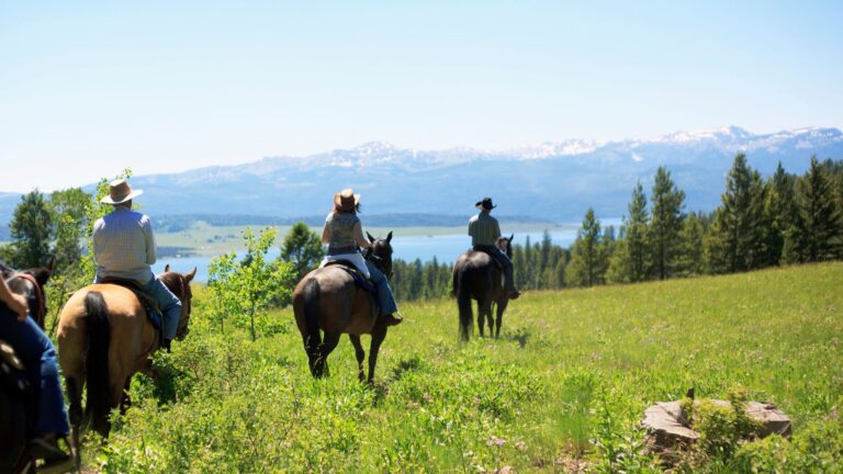 How Far Can A Horse Travel In A Day? Distance, Pace & Limits.