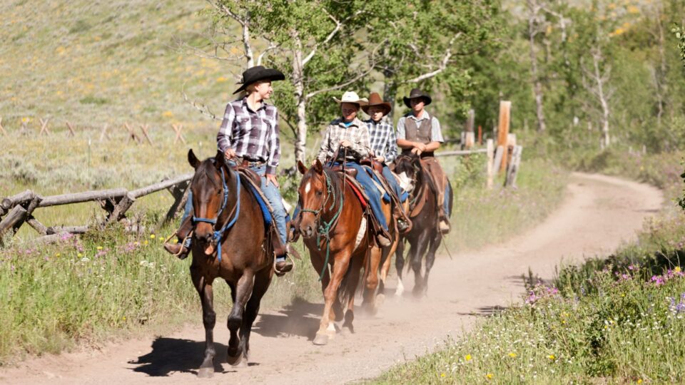 A Guide To The Best Horse Riding Trails In All 50 States