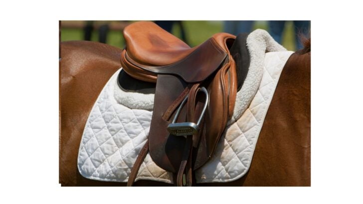 Picture of saddle and saddle pad.