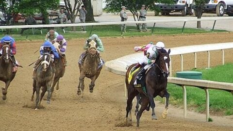 Training Horses for Speed: 3-Phase System From Racing Experience