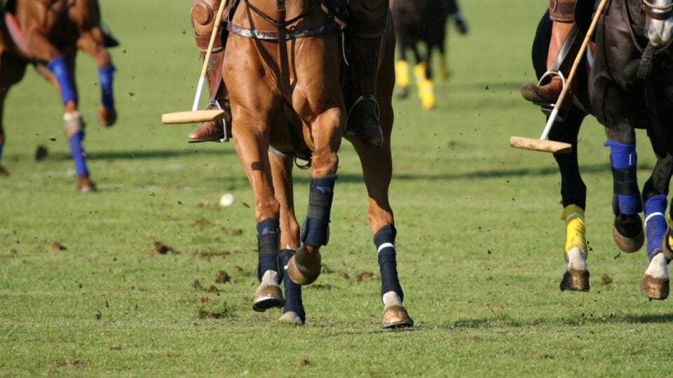 Polo Riding Goals Polo Riding For Beginners: Seat, Shots & Safety