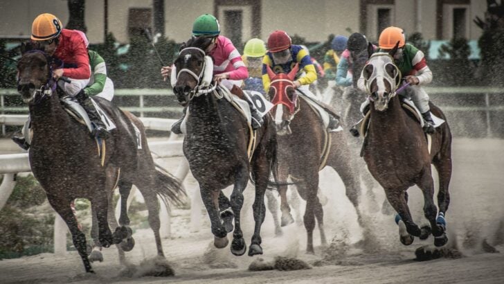 2026 Haskell Stakes Contenders, Pace Analysis & Betting Picks