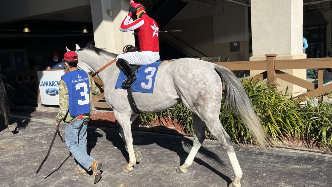 Money Bags Racing Horse Racing Purse Money: Where's It From And How's It Split