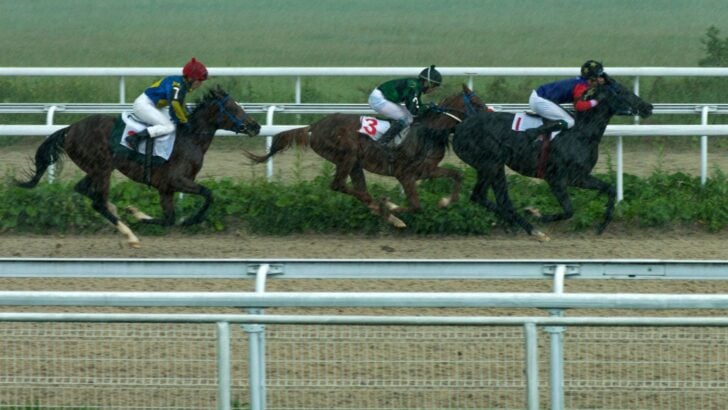 Whitney Stakes Preview: Can Magnitude Hold Off Sovereignty and Nitrogen?