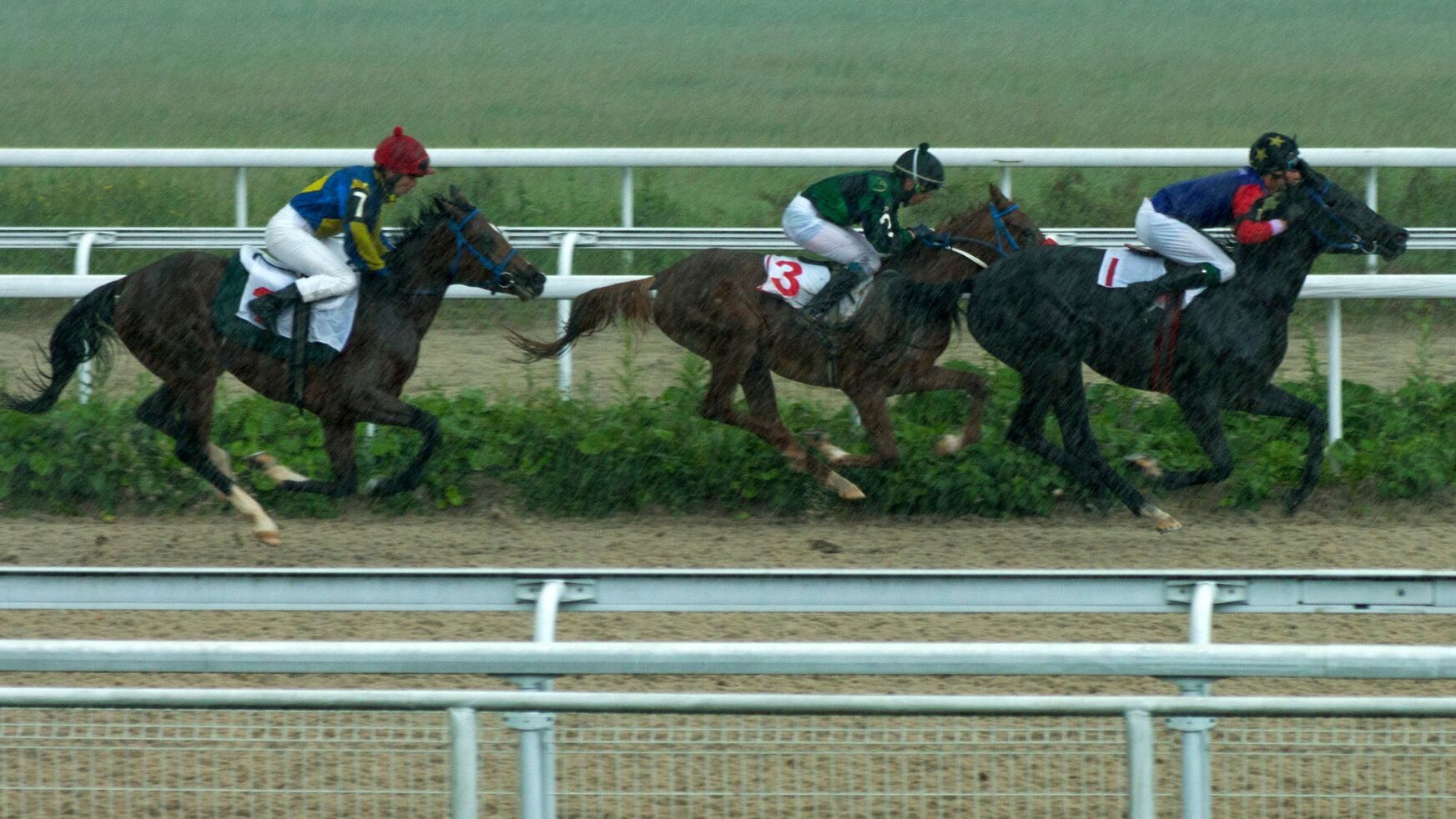 Picture of horses racing in the rain.  Weather and track conditions effect performance.