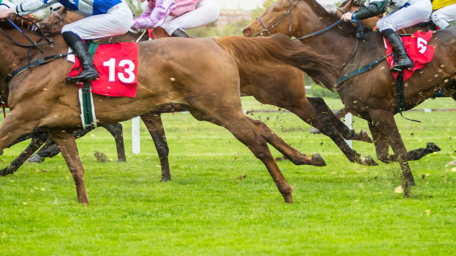 Weather And Track Conditions In Horse Racing