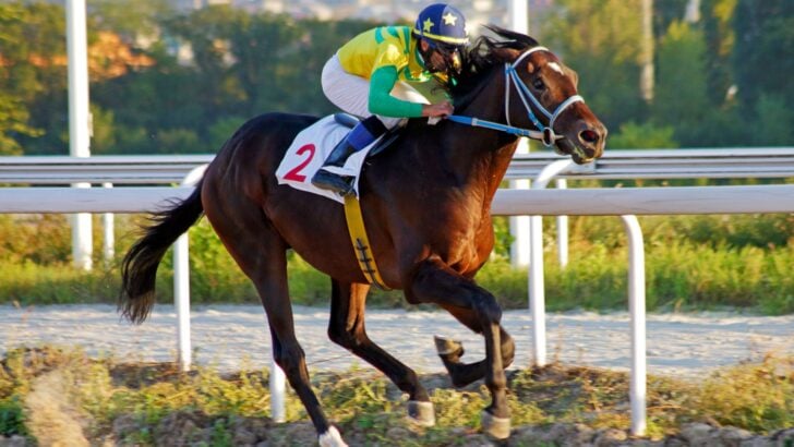 Racehorse Foam at the Mouth: Reading the Champagne Foam Signal