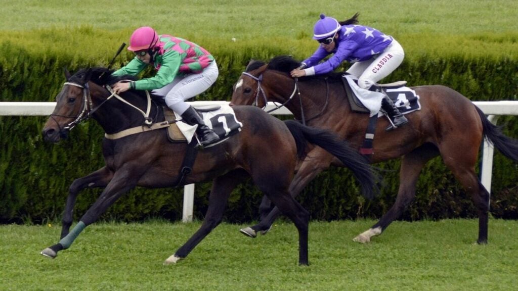 Picture of two jockeys in the mokey crouch position during a race. 